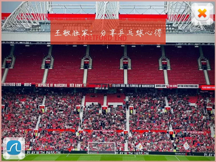 王敏独家：分享乒乓球心得