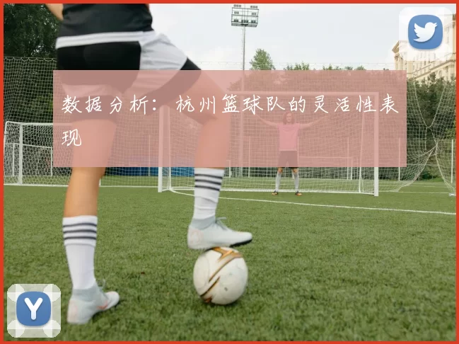 数据分析：杭州篮球队的灵活性表现
