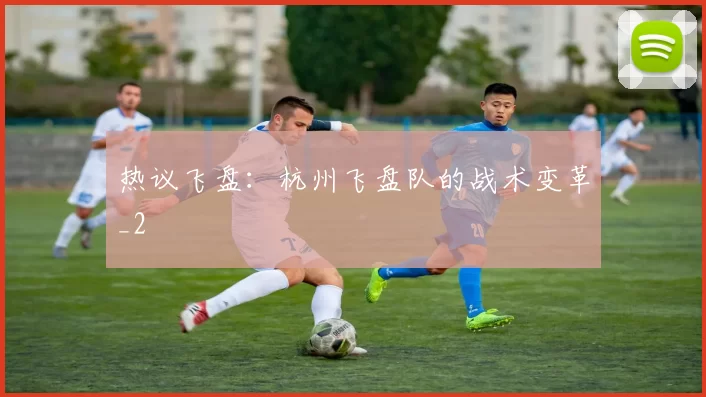 热议飞盘：杭州飞盘队的战术变革_2